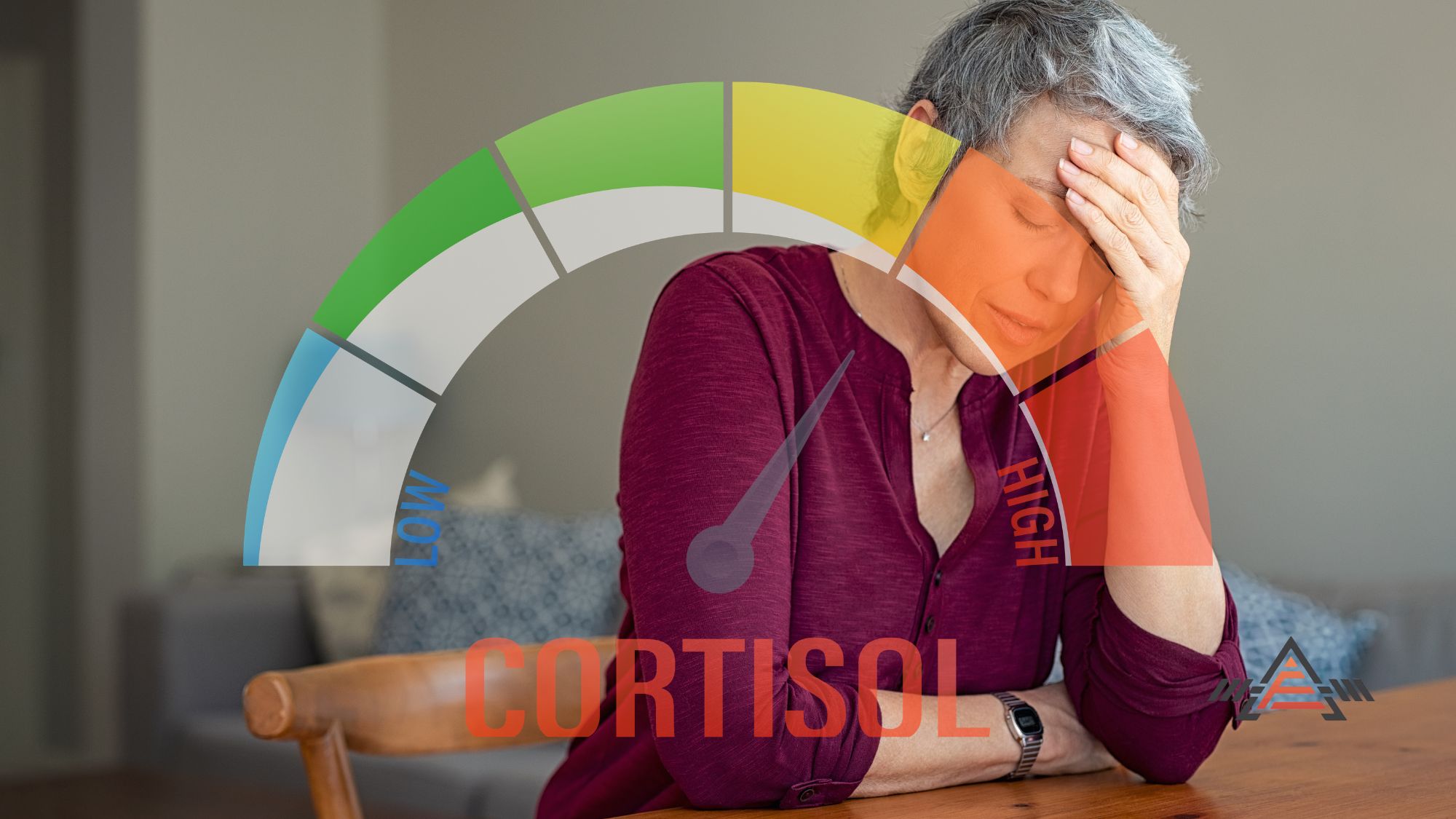 HIIT, Cortisol, and Women Over 40: What Social Media Gets Wrong